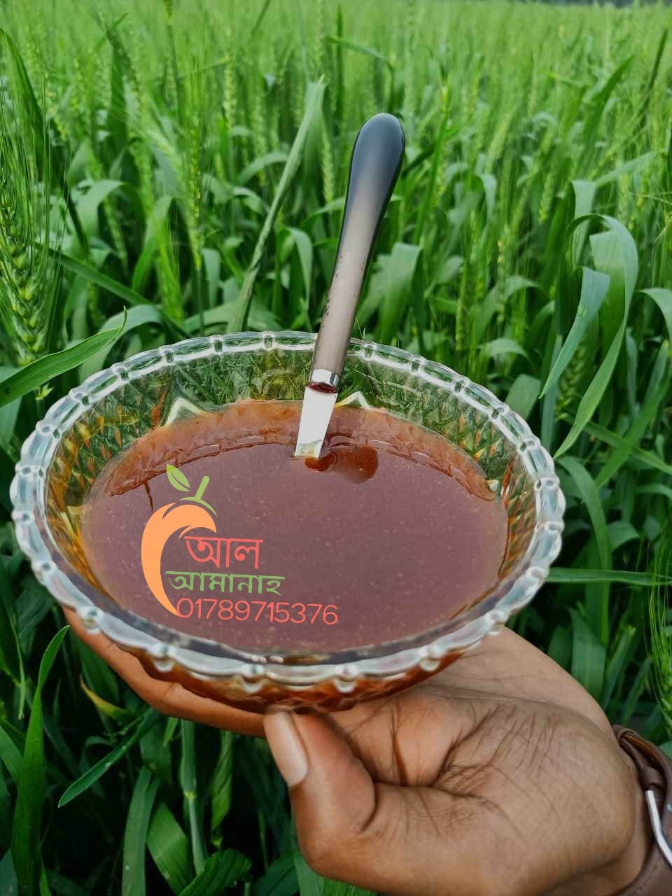 481343454_635267179121091_5612958977963626_n