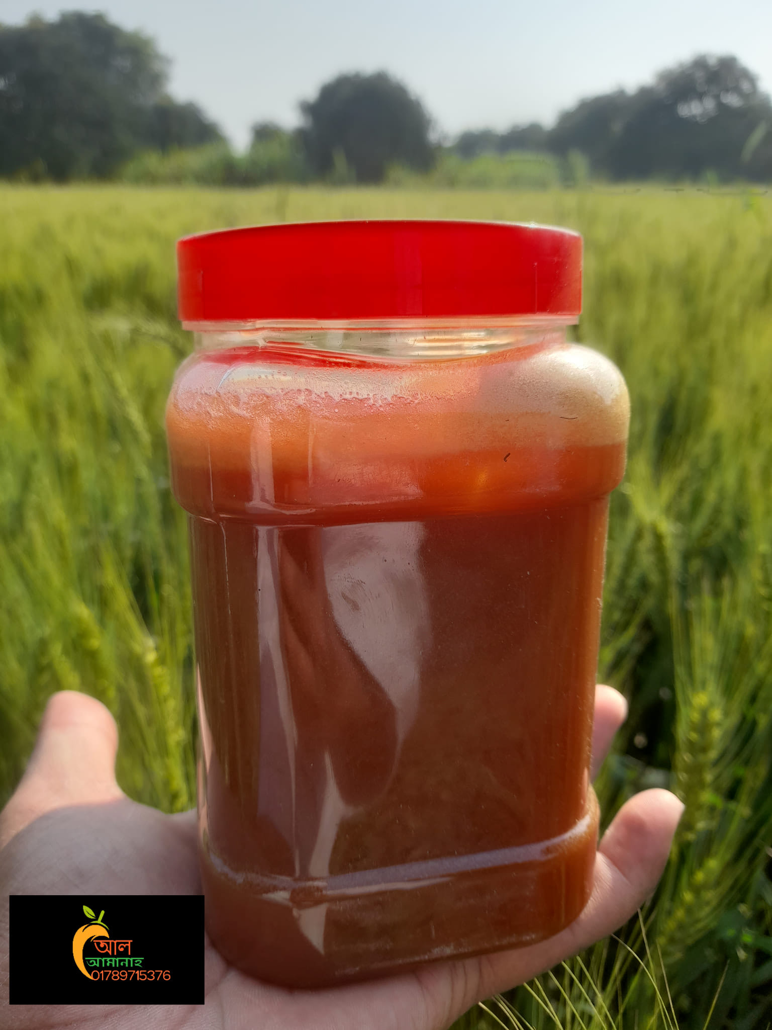 481983849_635264999121309_3436784770669668688_n